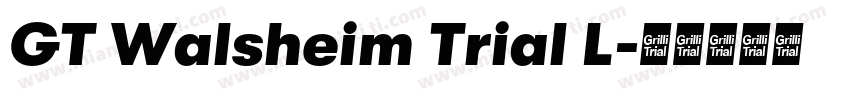 GT Walsheim Trial L字体转换